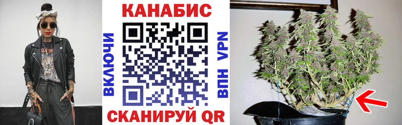 Купить где  Луга  Каннабис Ganja 